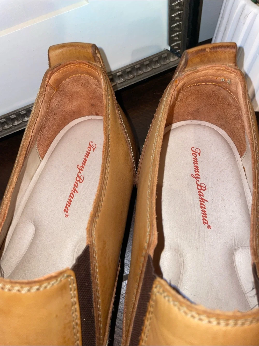 Tommy Bahama tommy bahama